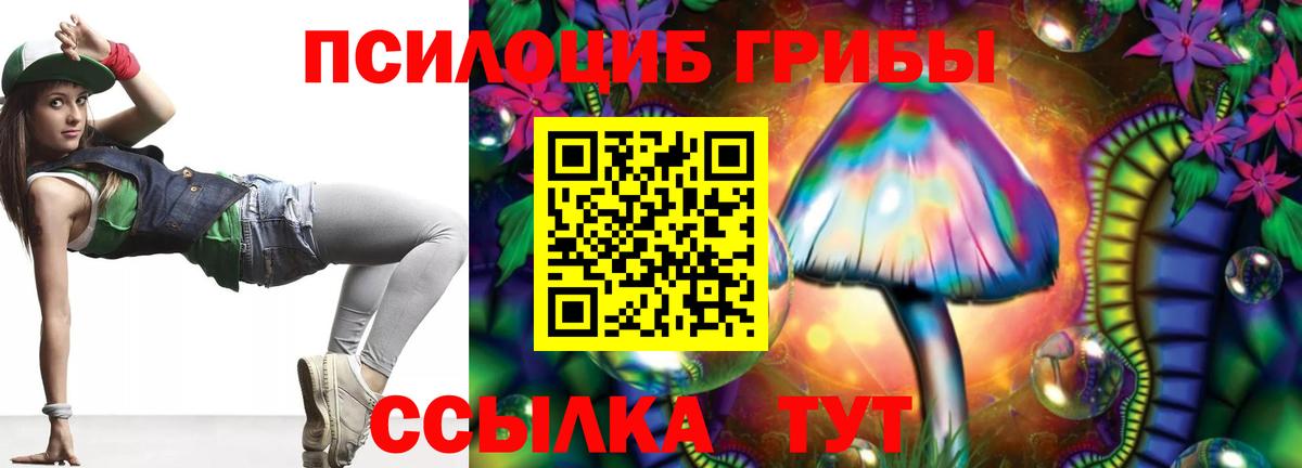 Псилоцибиновые грибы GOLDEN TEACHER Надым