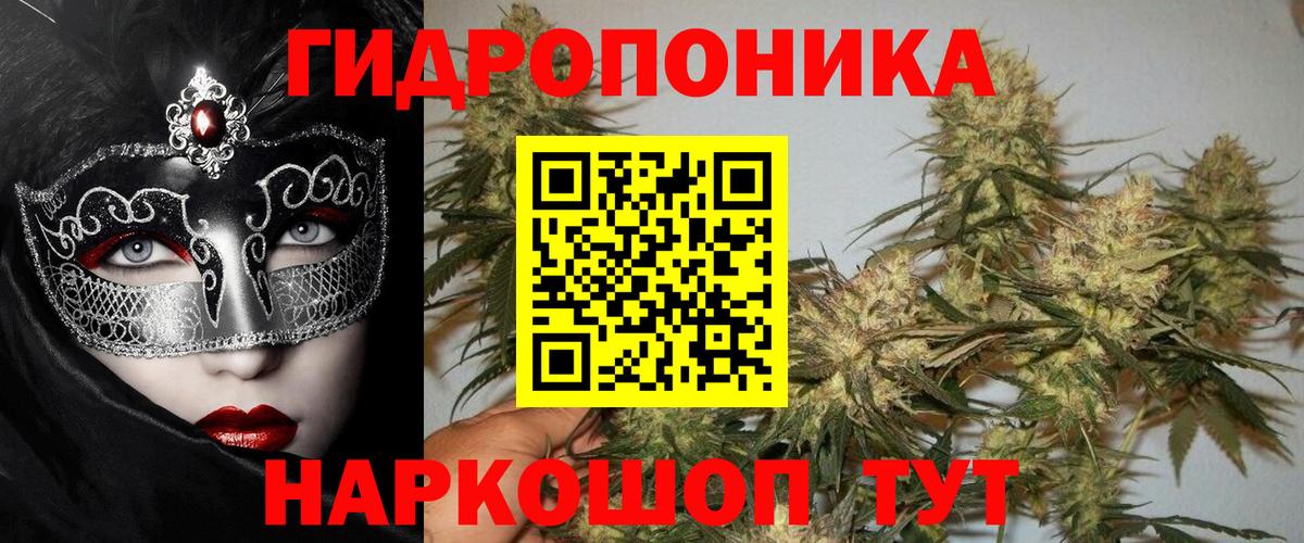 Бошки марихуана марихуана Надым